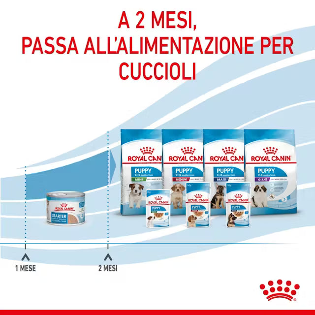 Grafico con più confezioni Starter e testo “A 2 mesi passa all’alimentazione per cuccioli” Grafico con più confezioni Starter e testo “A 2 mesi passa all’alimentazione per cuccioli”